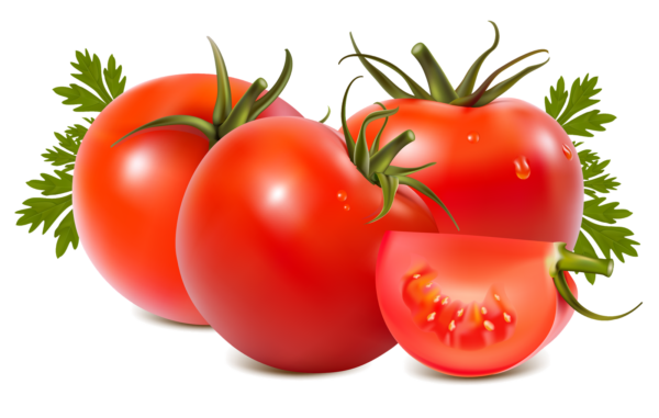 Frisch Tomaten